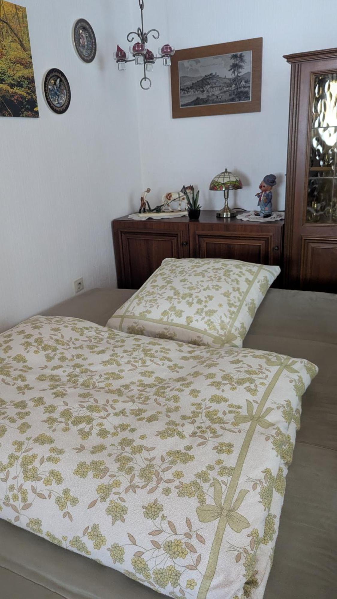 Ferienwohnung Mit Terrasse Fuer 1-4 Personen Алтена Екстер'єр фото
